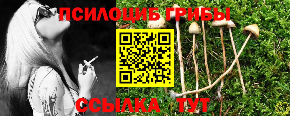Галлюциногенные грибы мицелий Магнитогорск